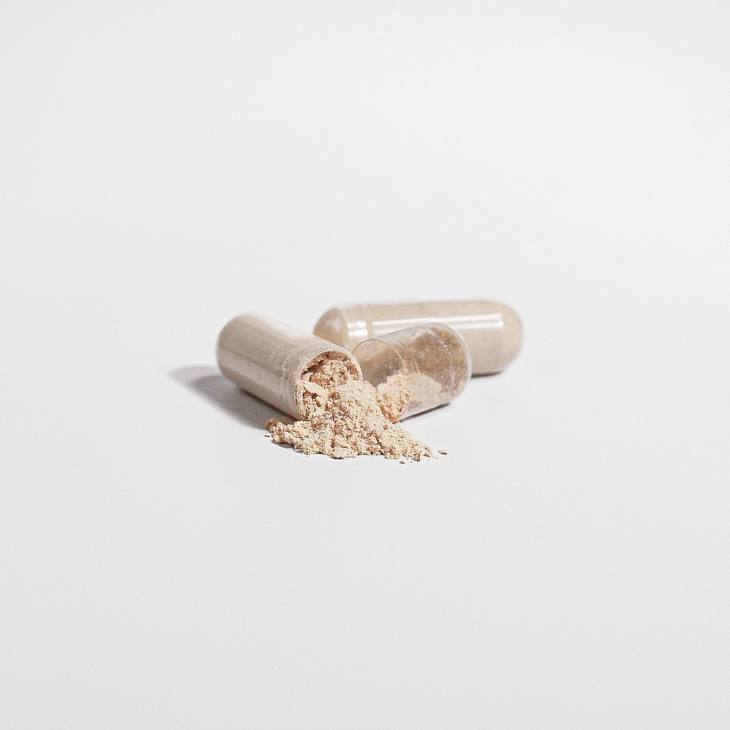 Chaga Mushroom Capsules – Immune & Gut Support from Nature