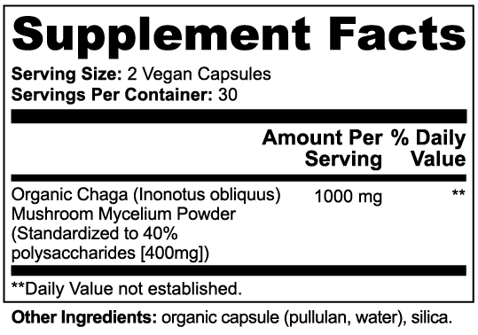 Chaga Mushroom Capsules – Immune & Gut Support from Nature